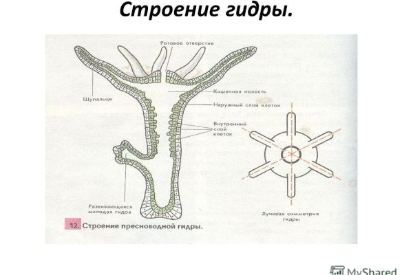 Ссылки на магазины в торе blackprut com