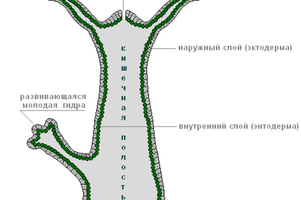 Вывод средств с блэк спрут