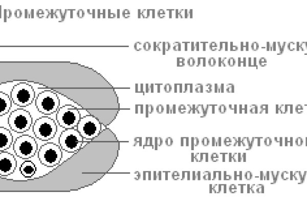 Блэк спрут ссылка blacksprut wiki