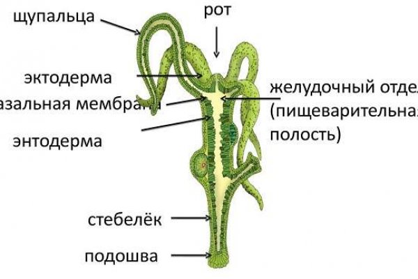 Блэк спрут закрыли